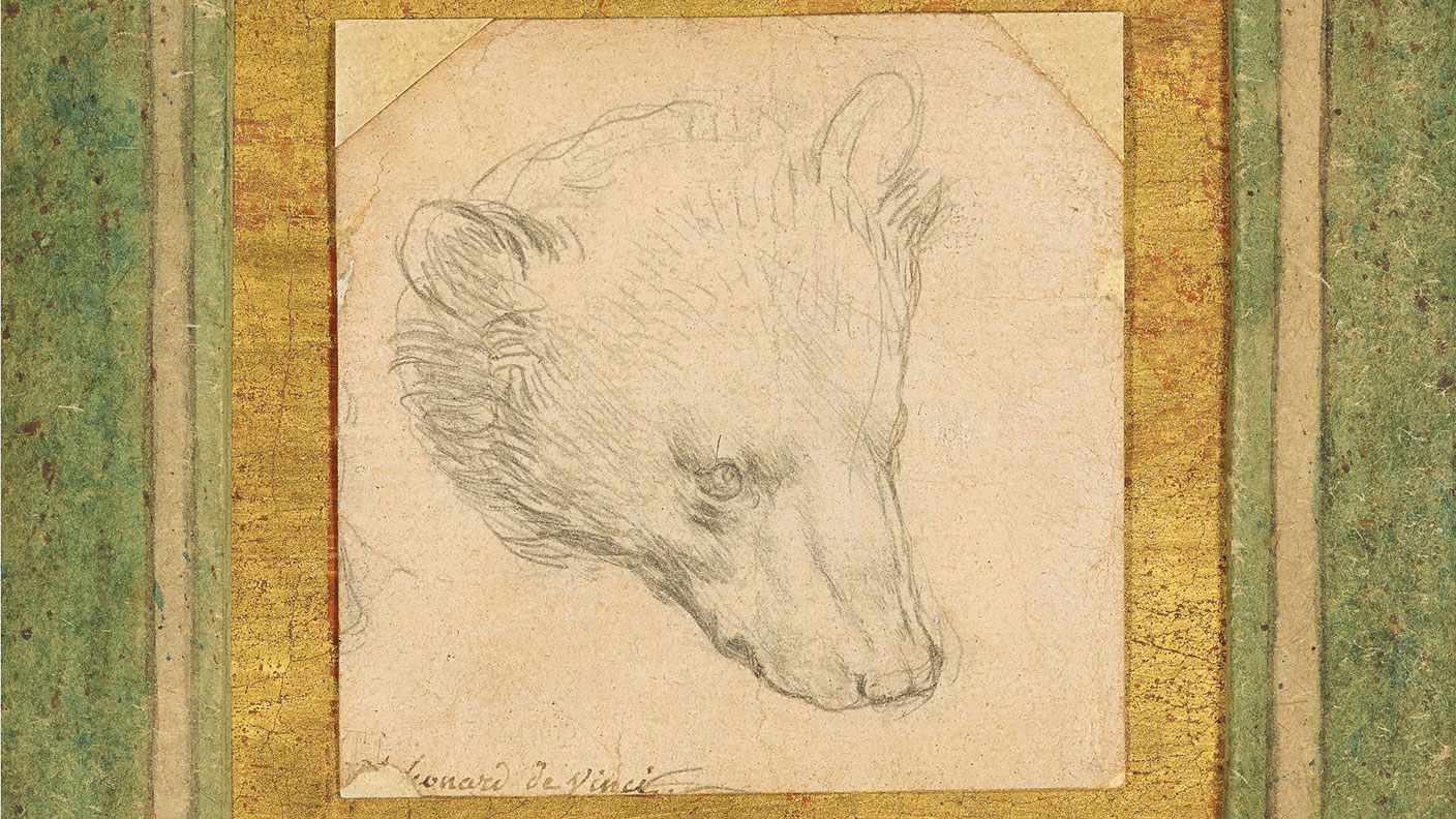 Head of a Bear sketch by Leonardo da Vinci
