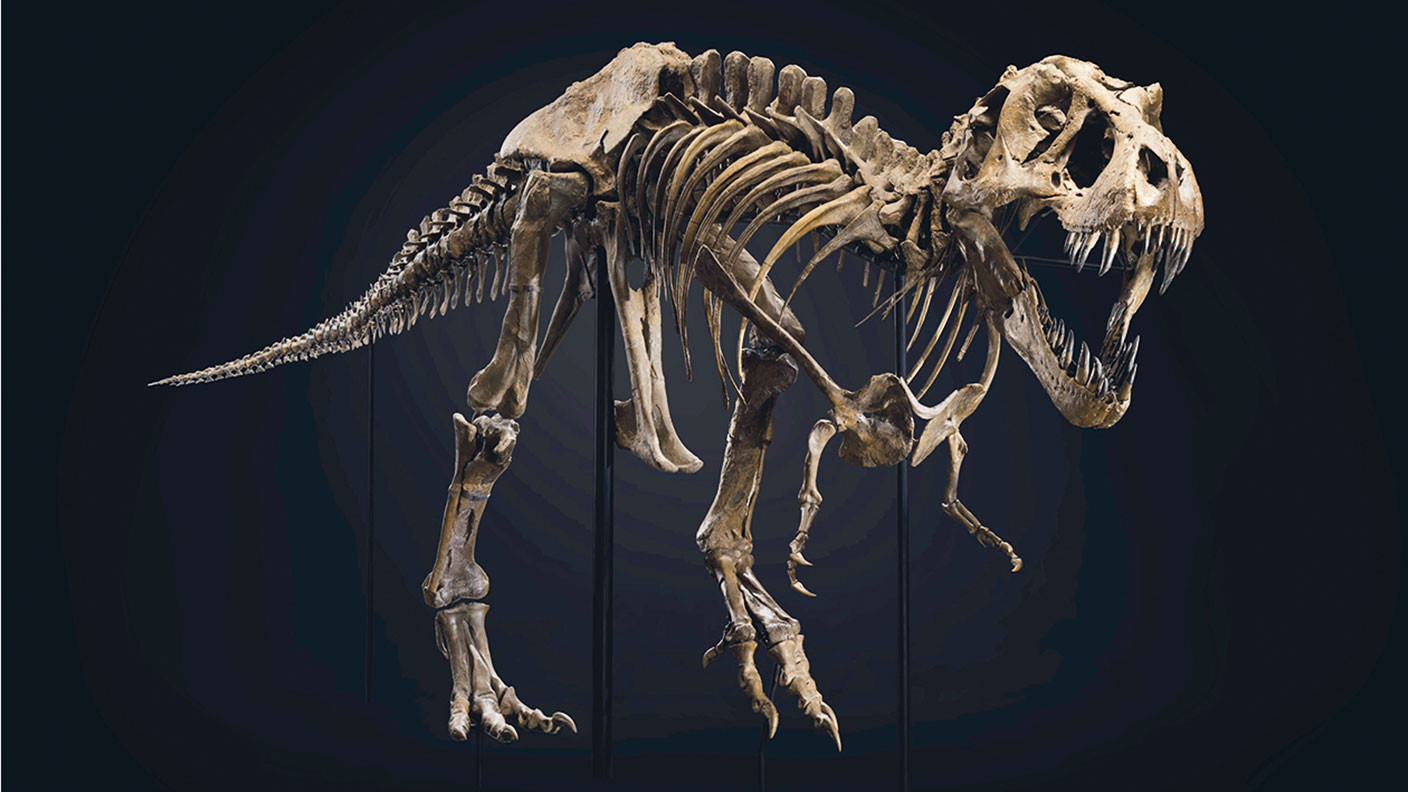 Tyrannosaurus Rex skeleton © Christie’s
