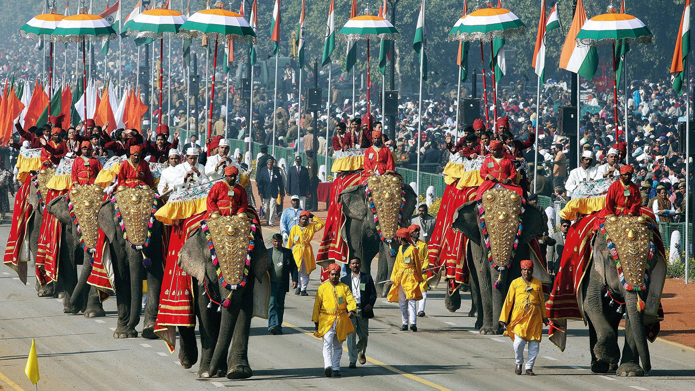 Elephant procession in India © RAVEENDRAN/AFP via Getty Images