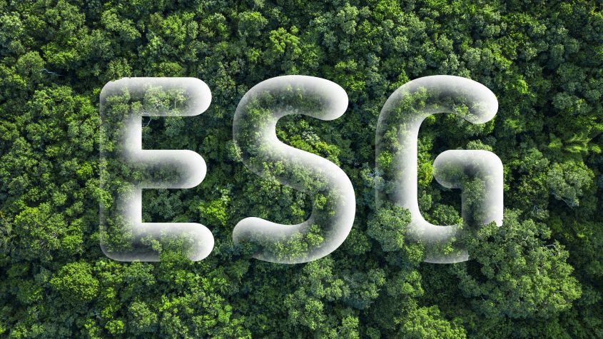 The picture shows the letters ESG 
