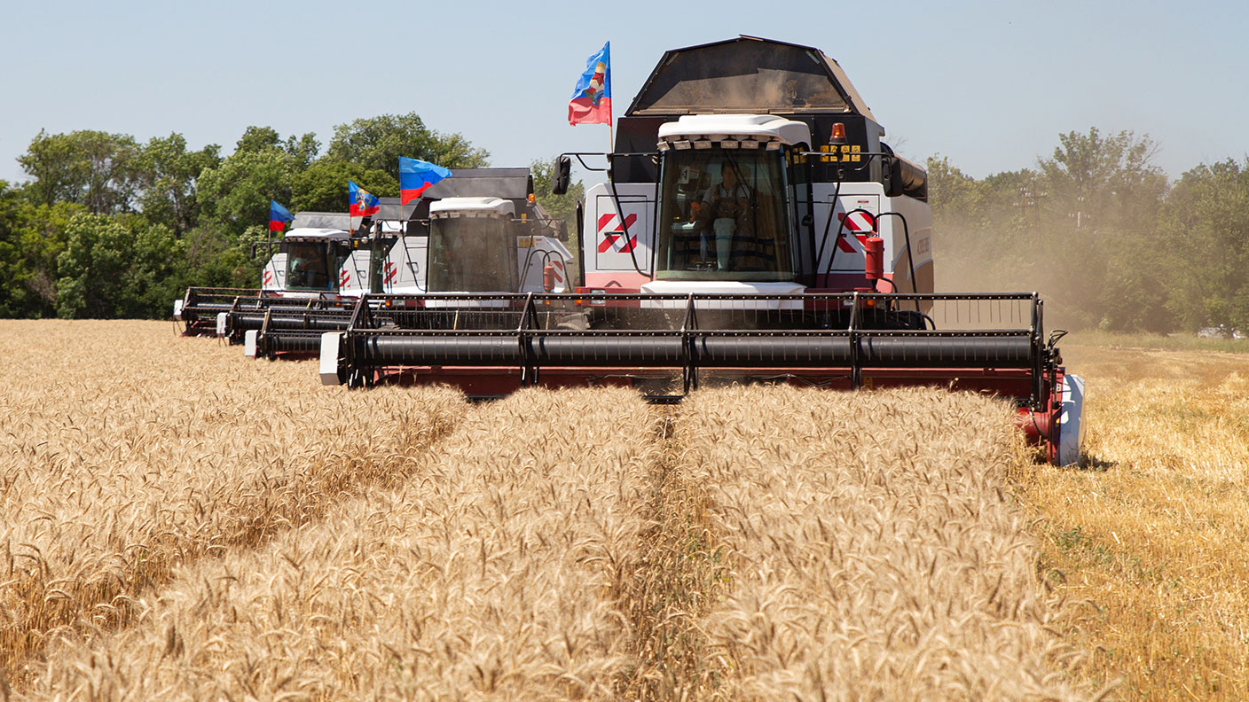 Harvesting wheat in the Lugansk region of Ukraine