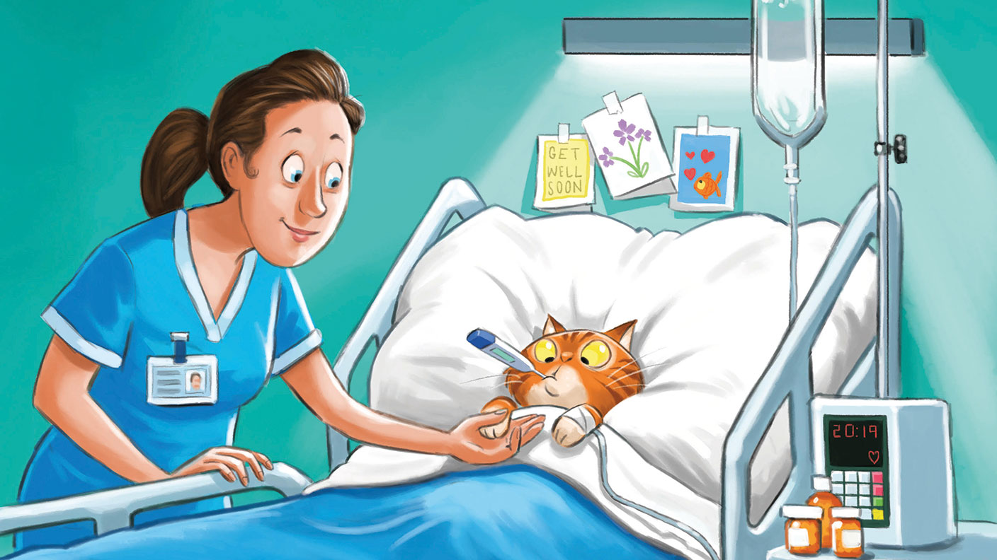 MoneyWeek cover illustration - a cat in hospital 
