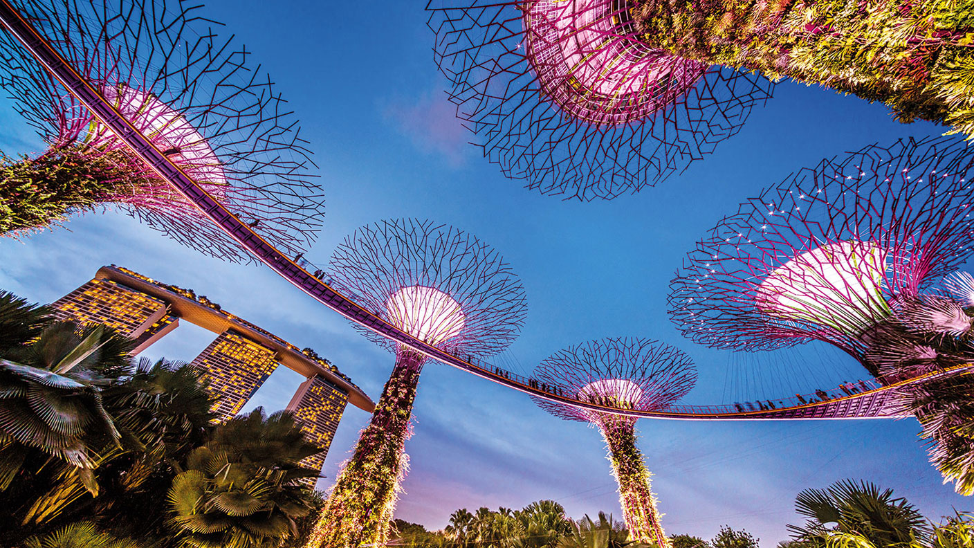 Those big tree things in Singapore