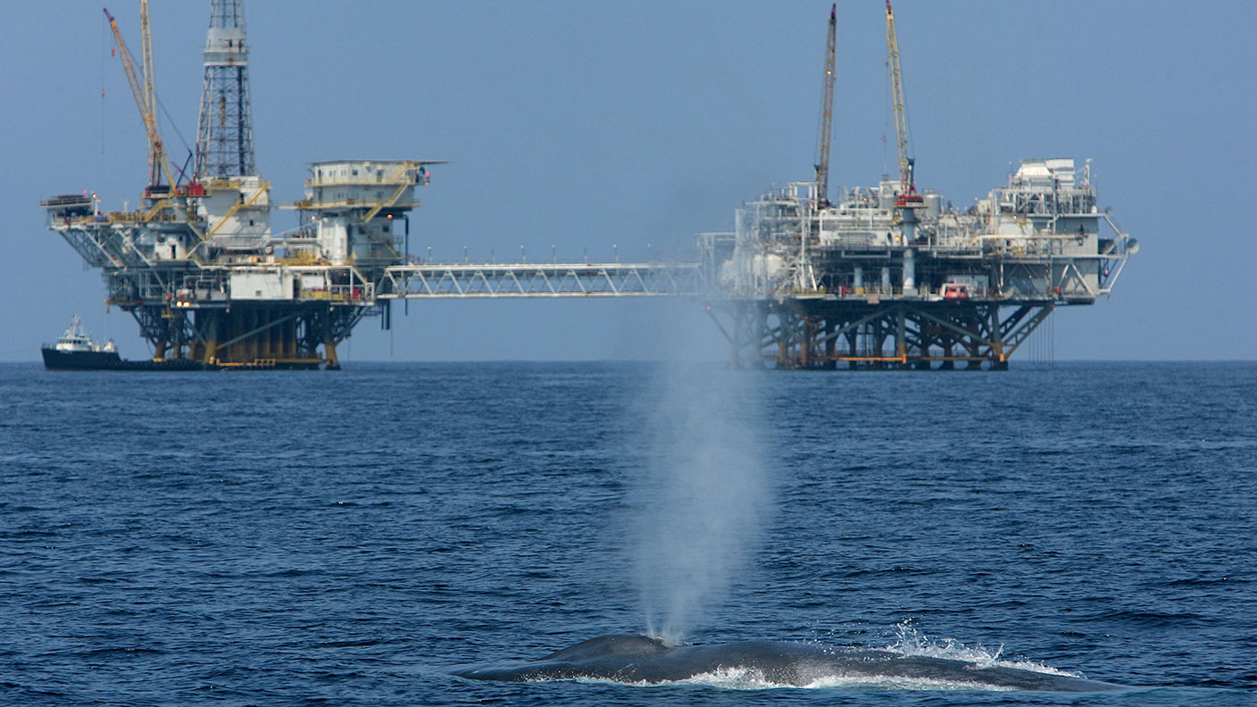 Whale swimming past oil rigs