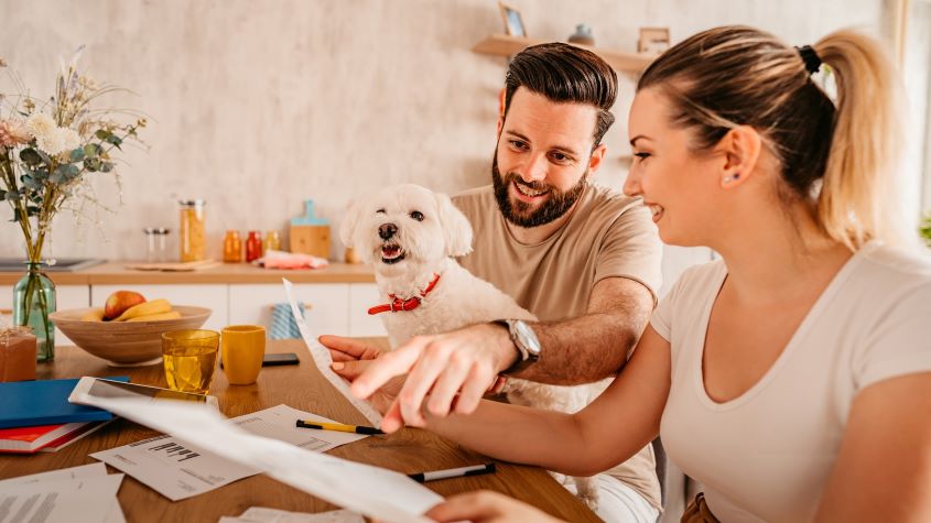 Couple checking their finances at home with their dog