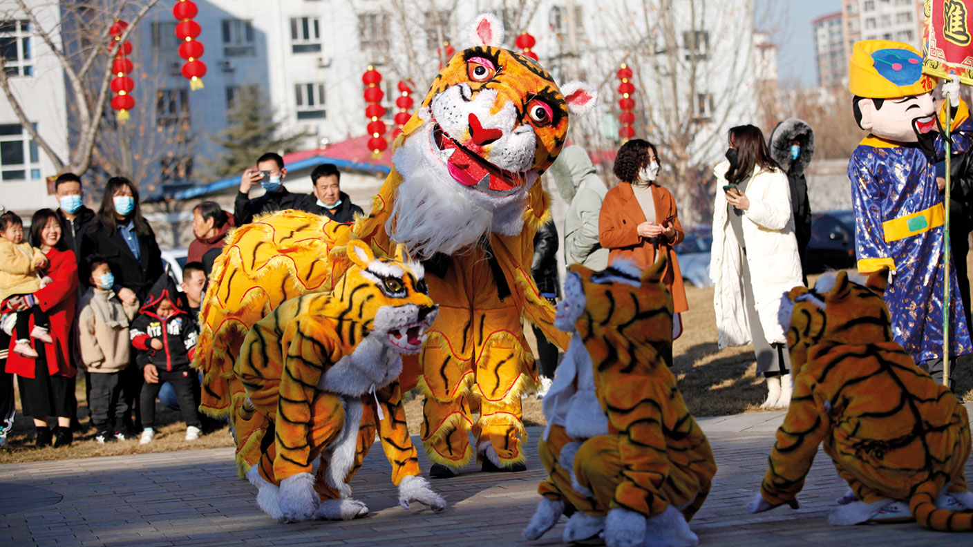 People in tiger costumes celebrating Chinese New Year
