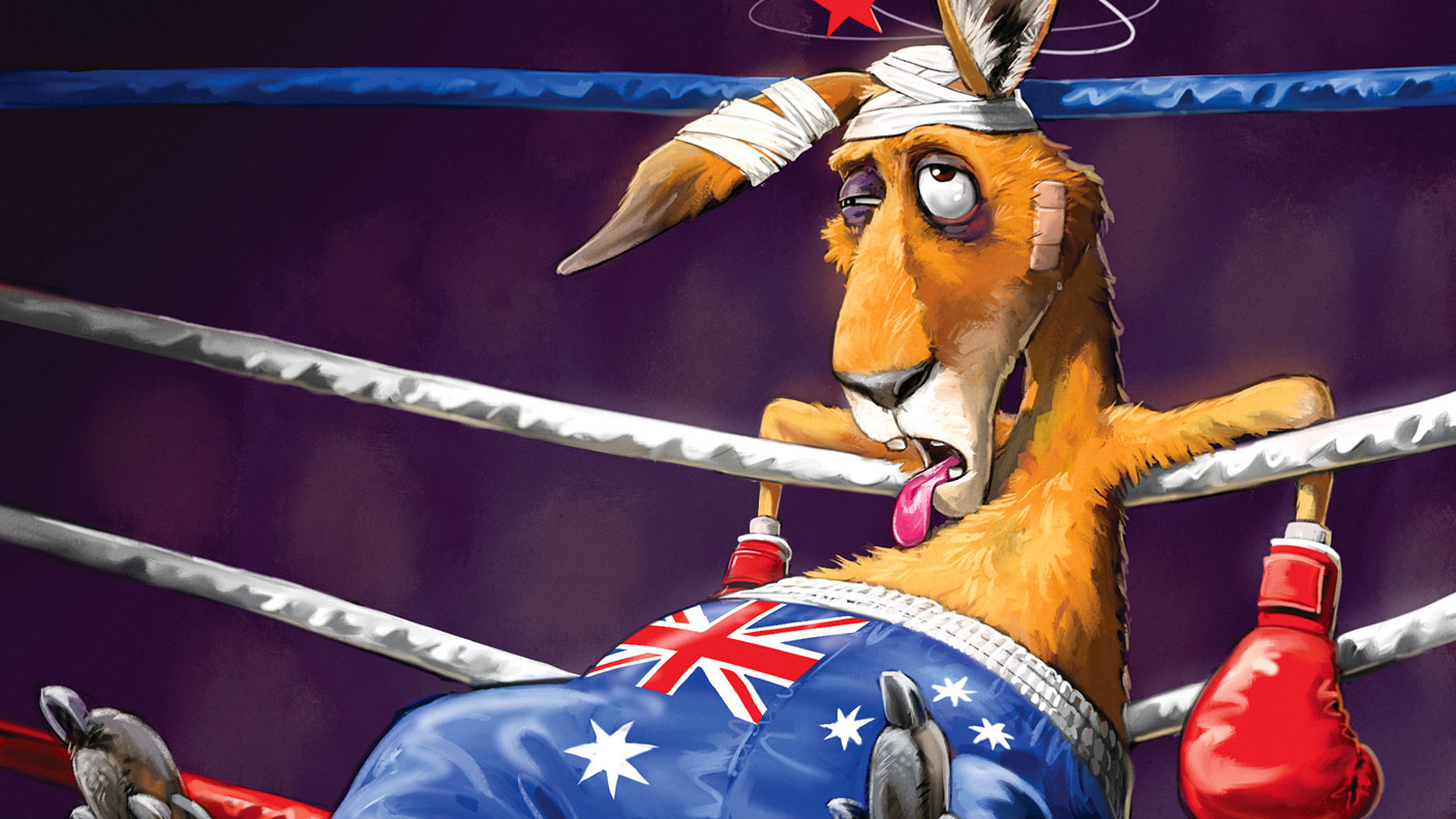 MoneyWeek cover illustration - boxing kangaroo on the ropes