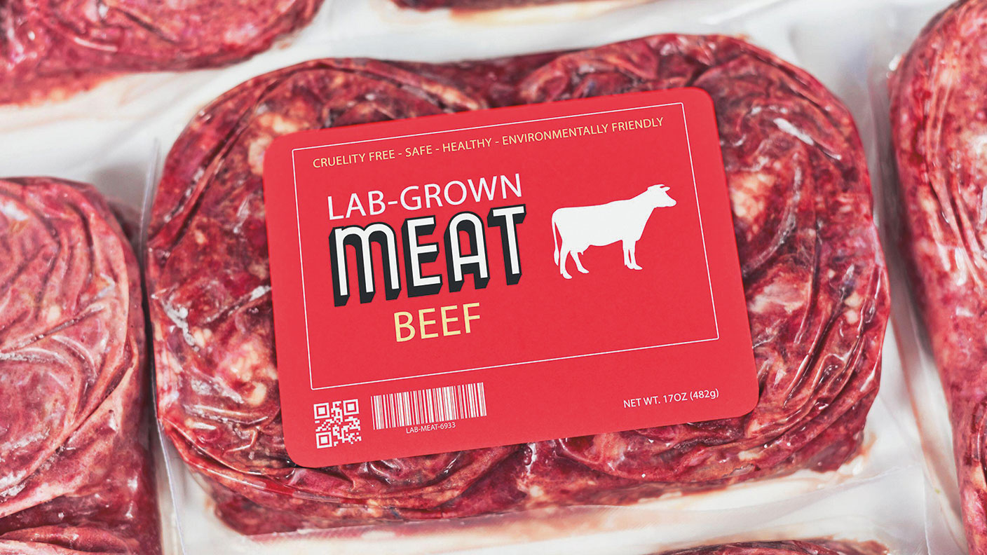 Lab-grown meat